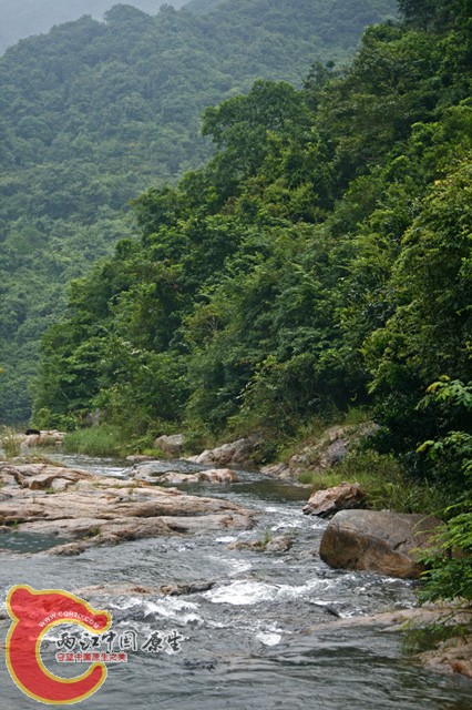 _MG_4705.jpg