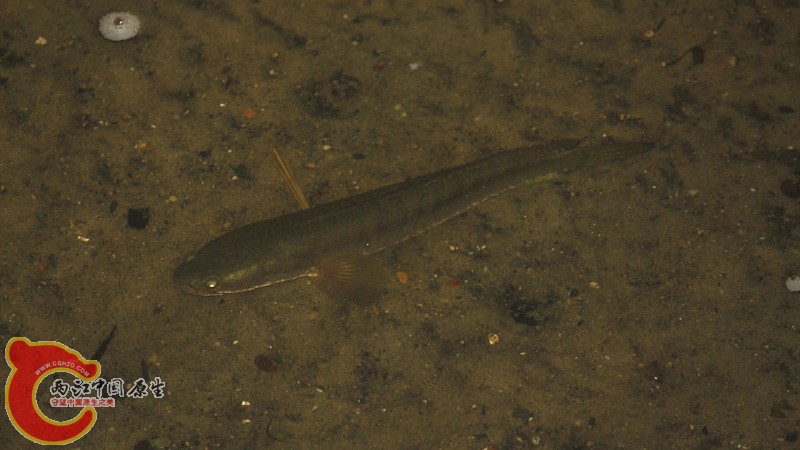 _MG_3673.jpg