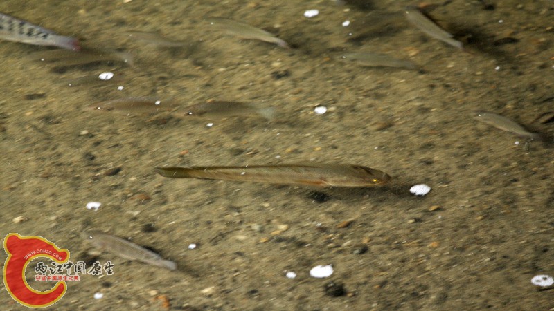 _MG_3676.jpg