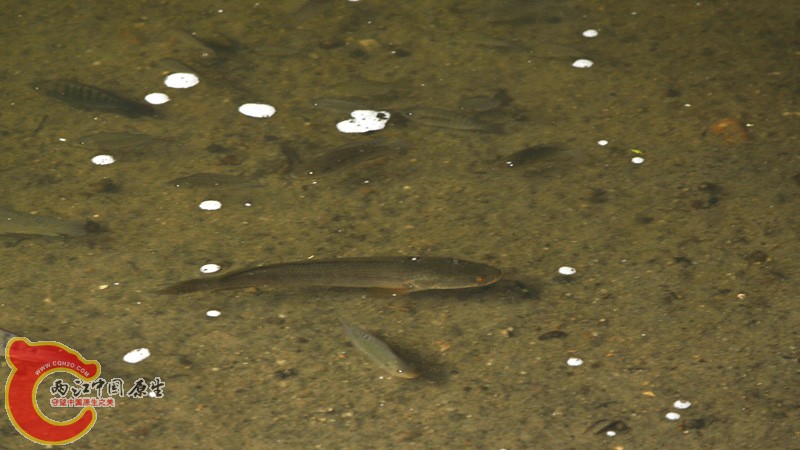 _MG_3680.jpg