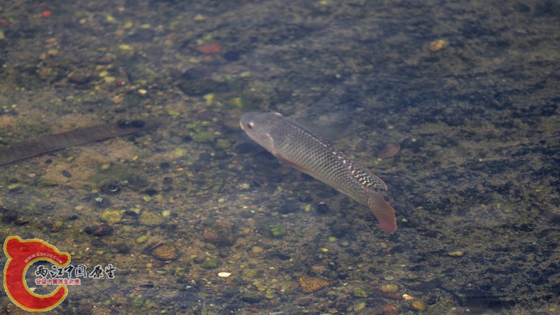 _MG_3860.jpg