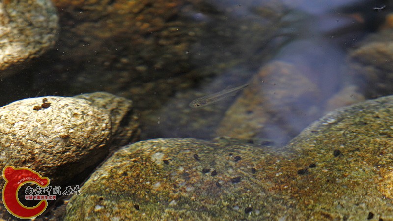 _MG_6046.jpg