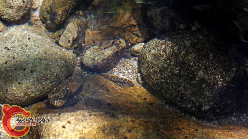 _MG_6233.jpg