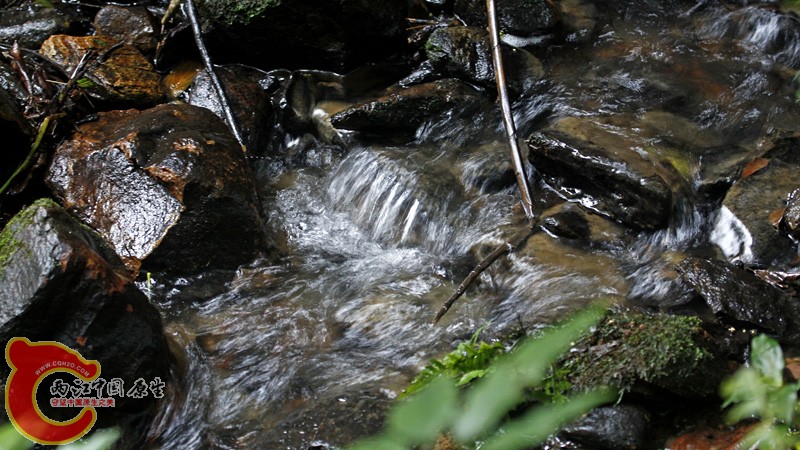 _MG_4634.jpg