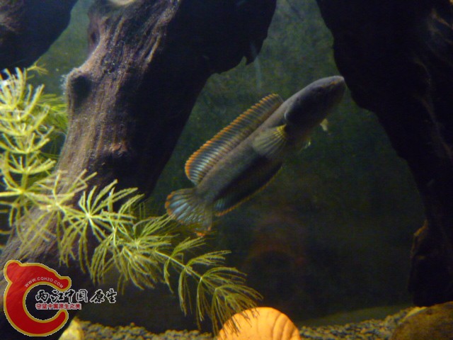 P1080751.JPG