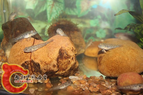 照片18 049_副本.jpg