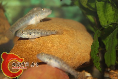 照片18 051_副本.jpg