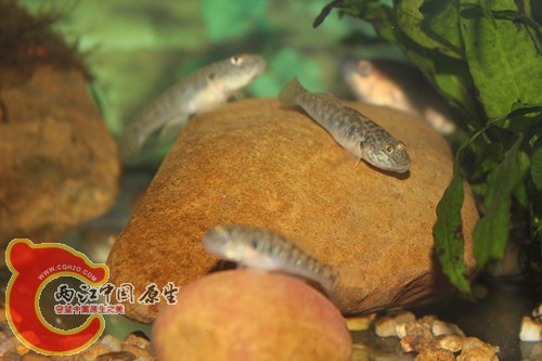 照片18 059_副本.jpg