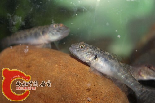 照片18 069_副本.jpg
