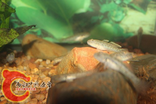照片18062_副本.jpg