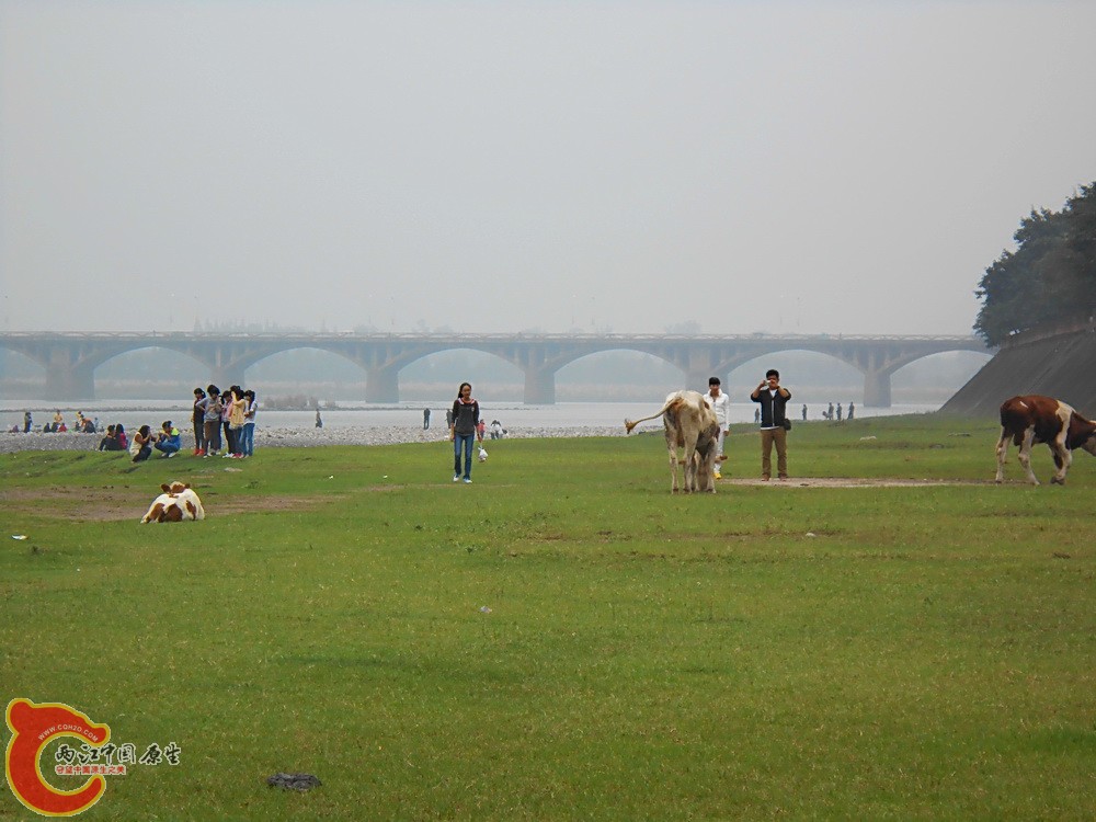 DSCN0418.JPG