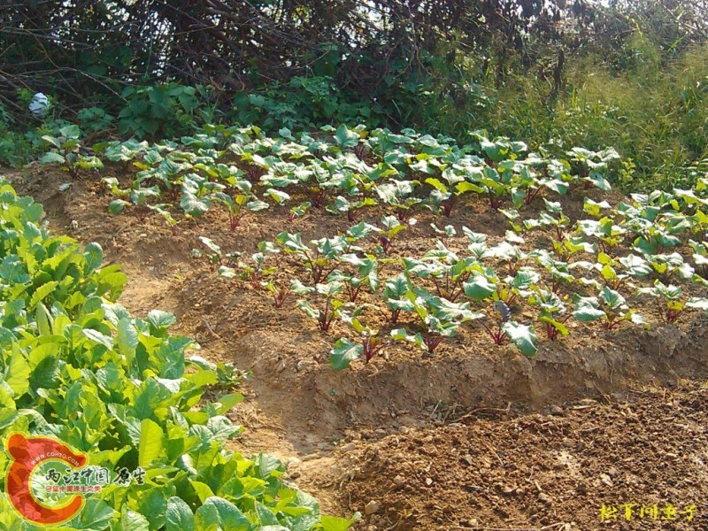 conew_2012.10 (4).jpg