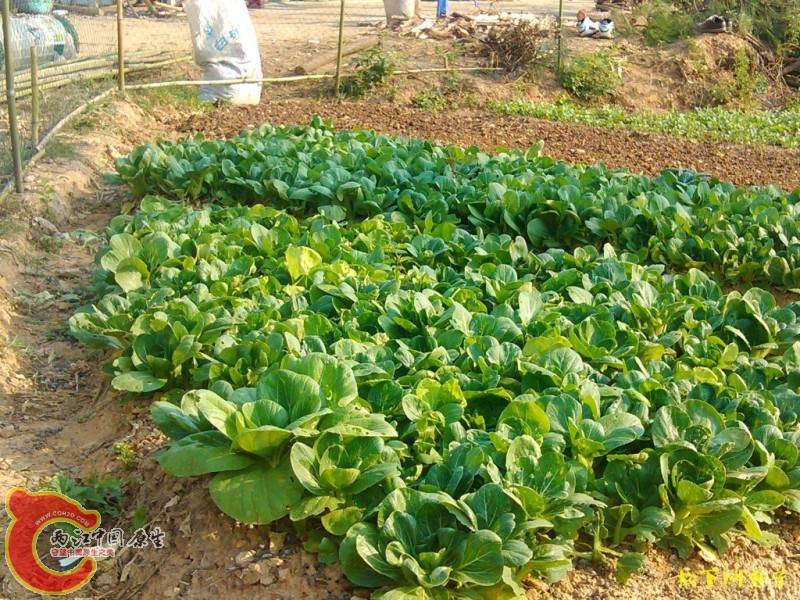 conew_2012.10 (5).jpg