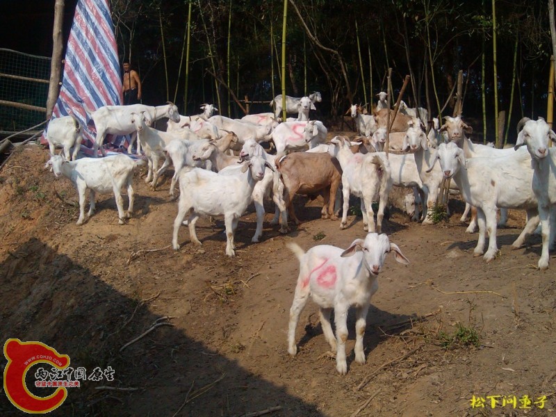 conew_2012.10 (6).jpg