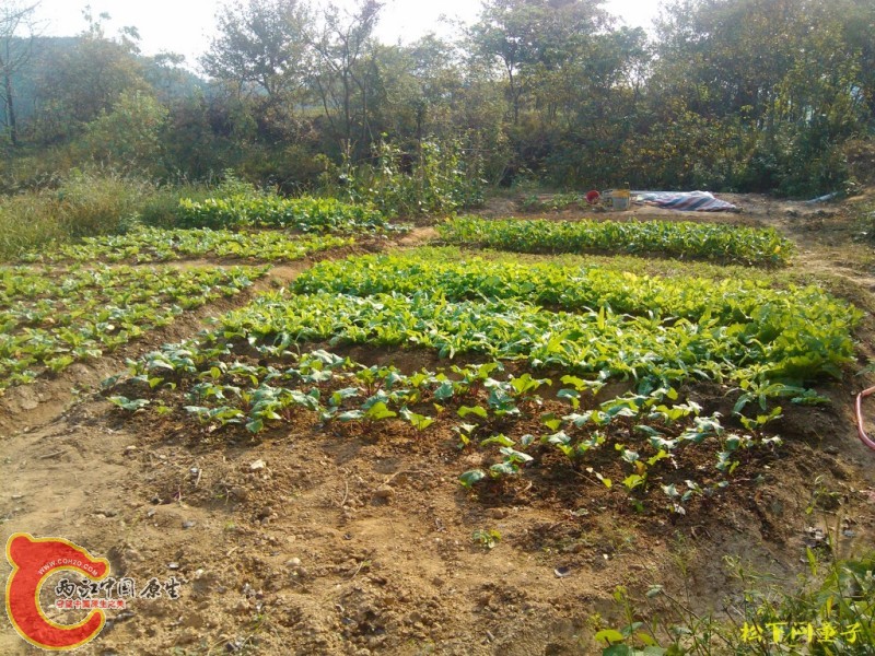 conew_2012.10 (10).jpg