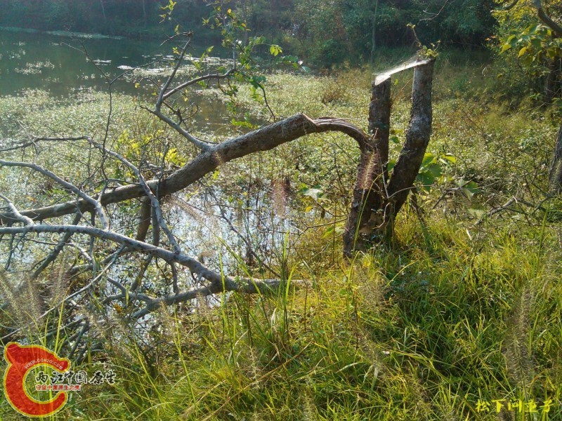 conew_2012.10 (16).jpg