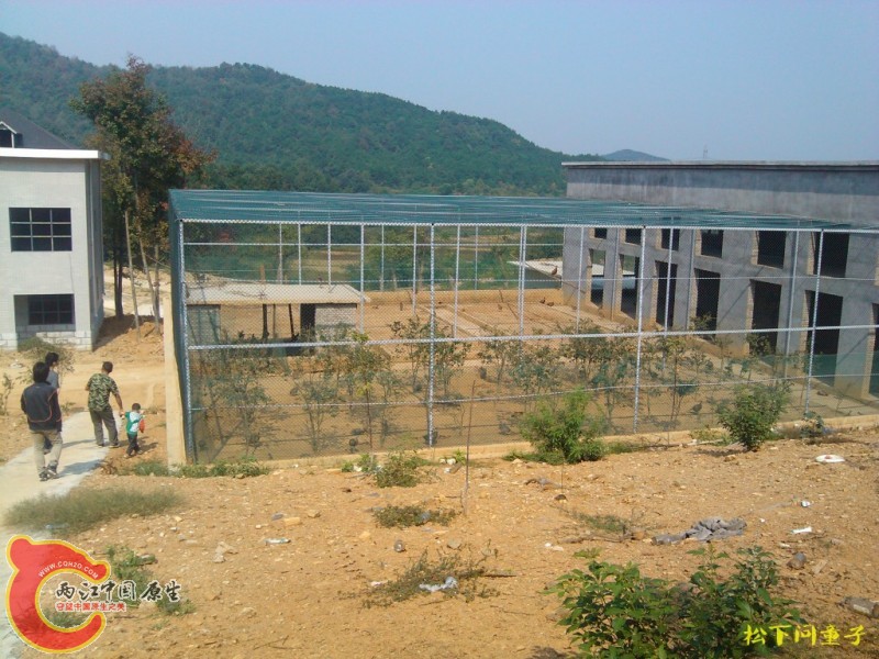 conew_2012.10 (27).jpg