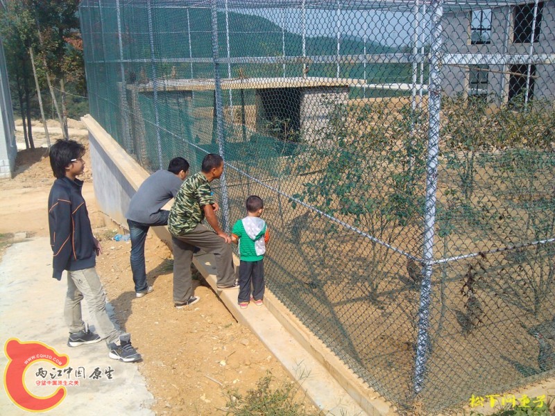 conew_2012.10 (28).jpg