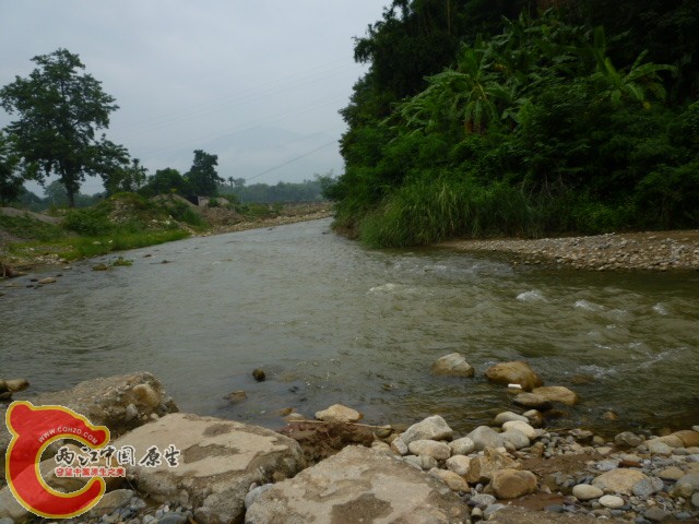 P1080838.JPG