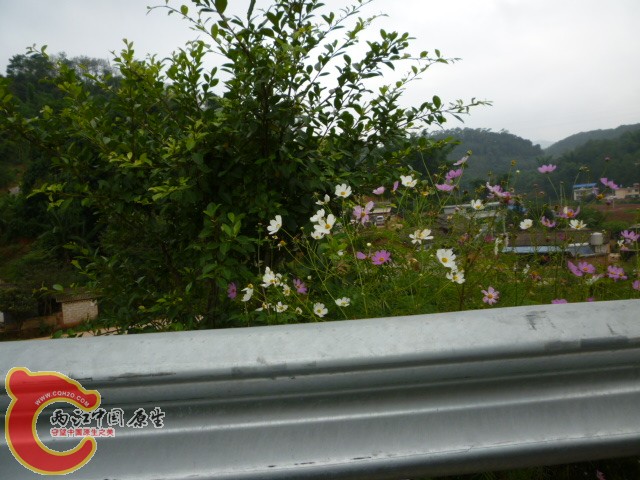 P1080854.JPG