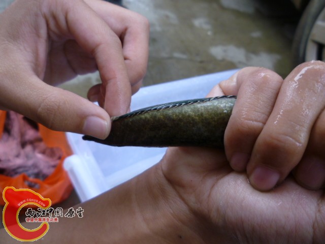 P1080956.JPG