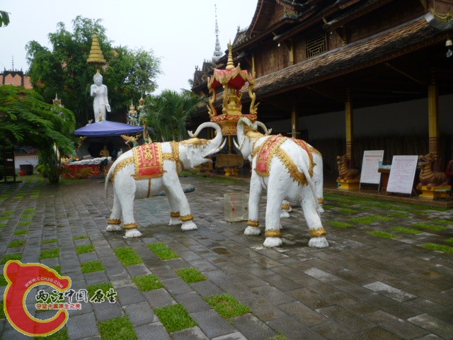 P1080965.JPG