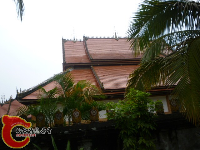 P1080988.JPG