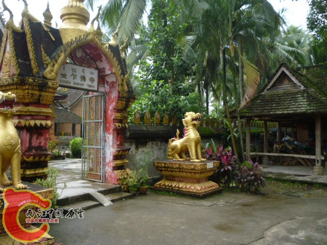 P1080990.JPG