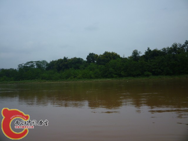 P1090003.JPG