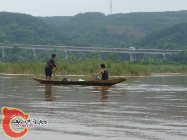 P1090007.JPG