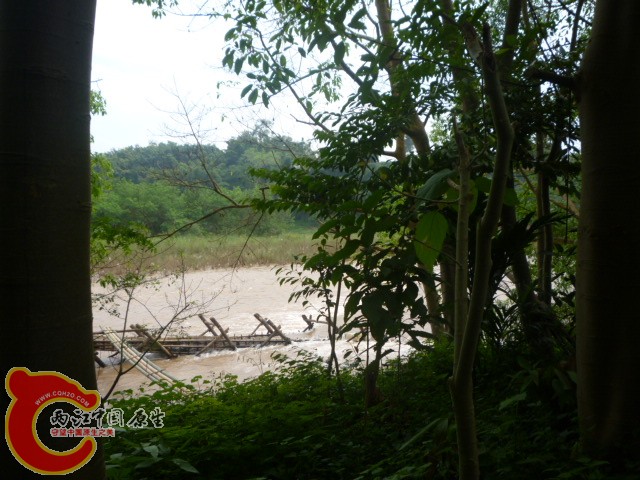 P1090013.JPG