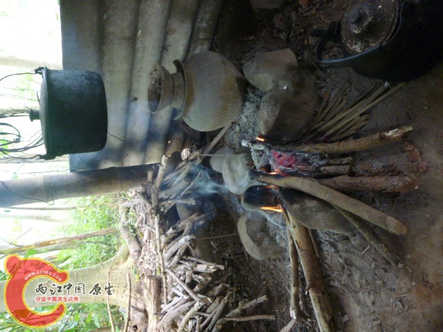 P1090020.JPG