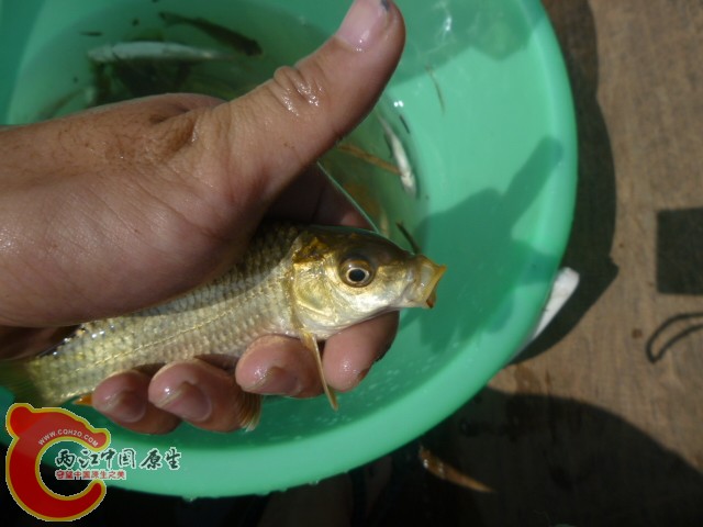 P1090046.JPG