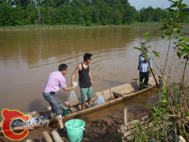 P1090052.JPG