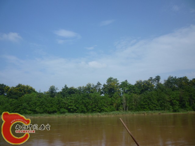 P1090053.JPG