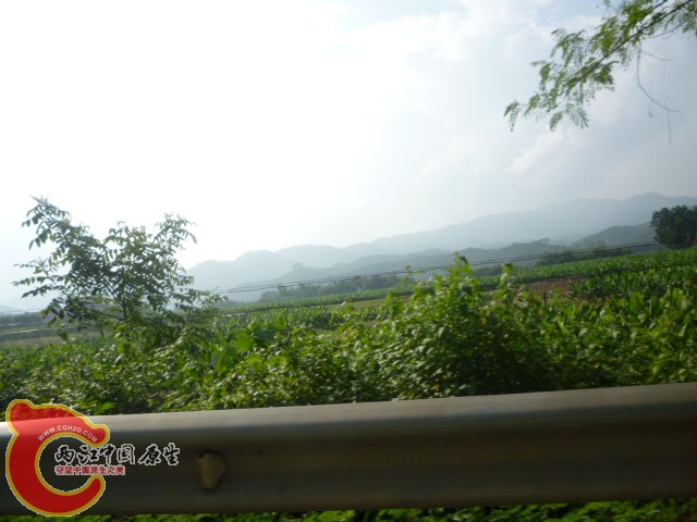 P1090061.JPG