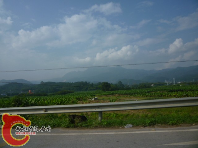 P1090063.JPG