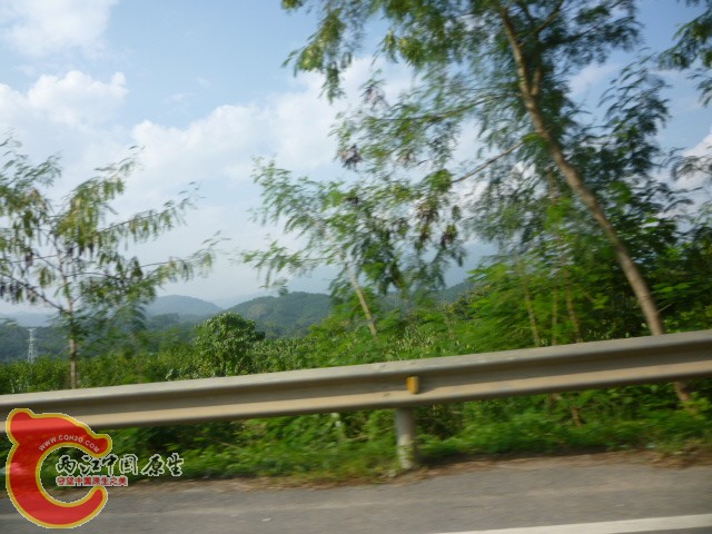 P1090064.JPG