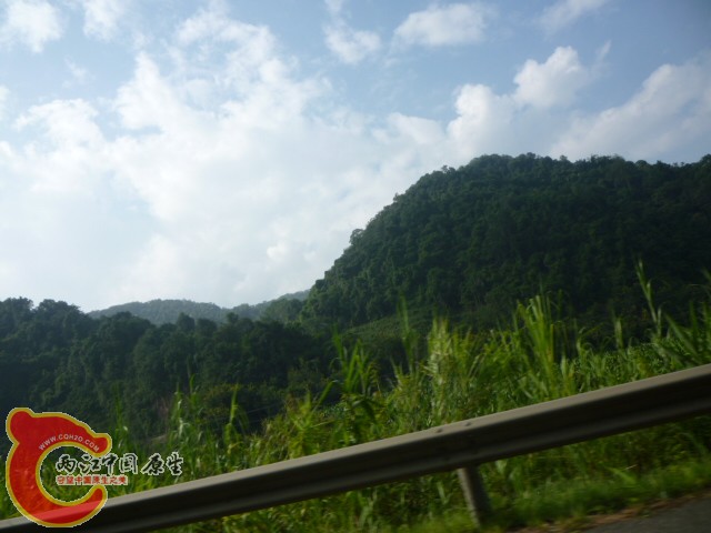 P1090067.JPG