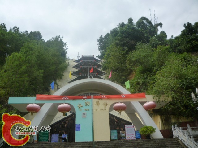 P1090107.JPG
