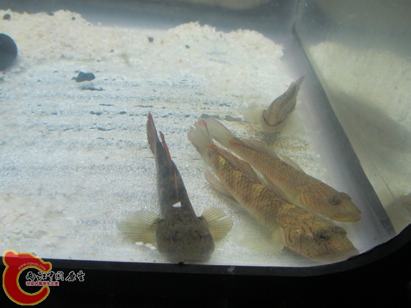 IMG_2958_副本.jpg