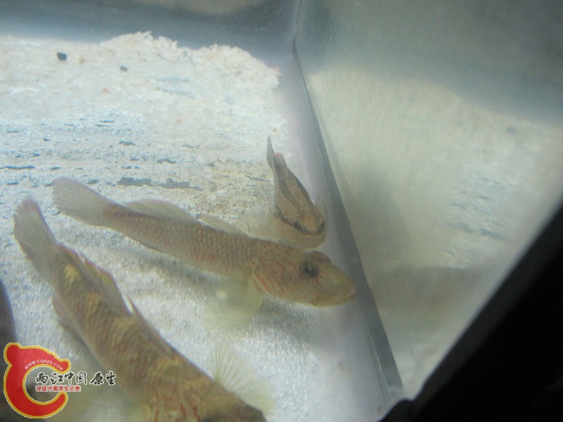 IMG_2960_副本.jpg