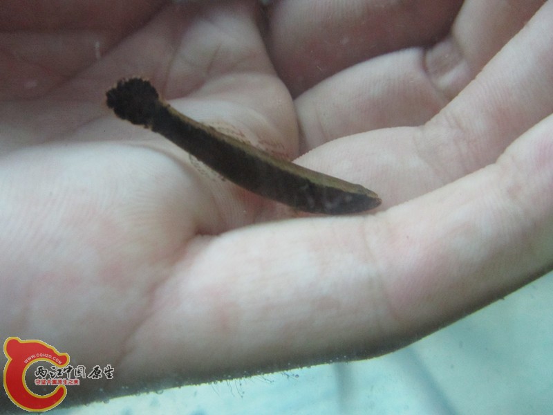 IMG_2981_副本.jpg
