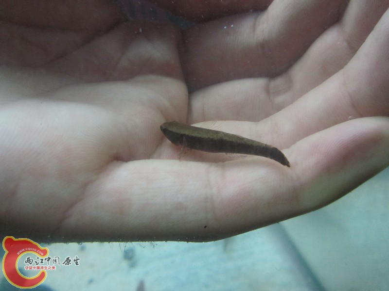 IMG_2980_副本.jpg