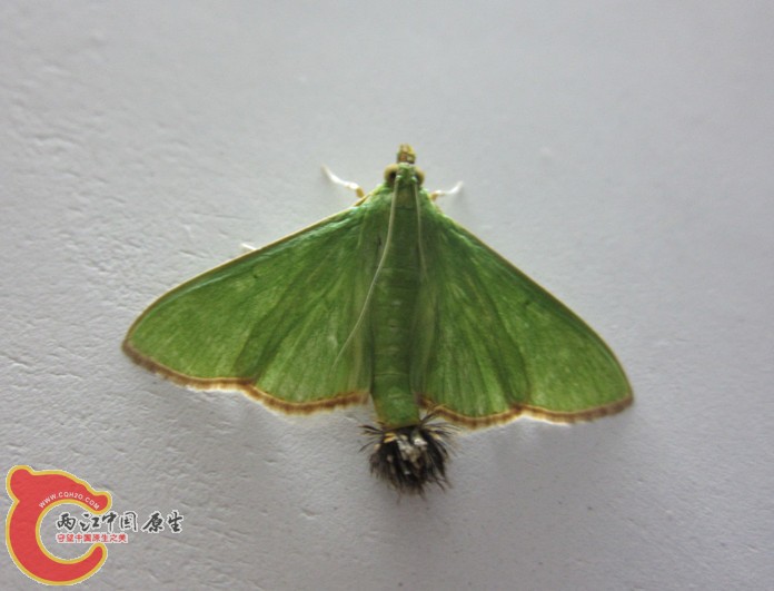 IMG_3966_副本.jpg