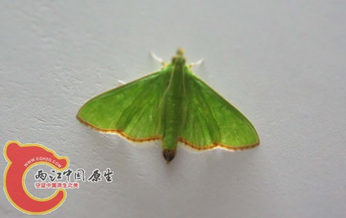 IMG_3963_副本.jpg