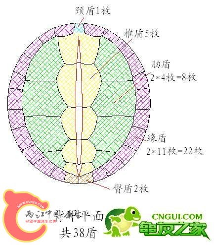11030211178addfe18f6ca7d24.jpg