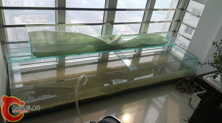 放水