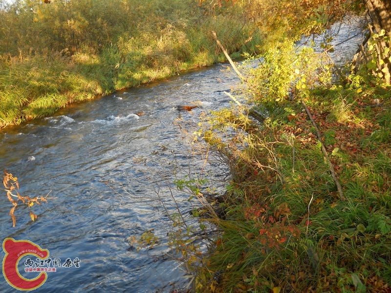 DSCN4619.jpg