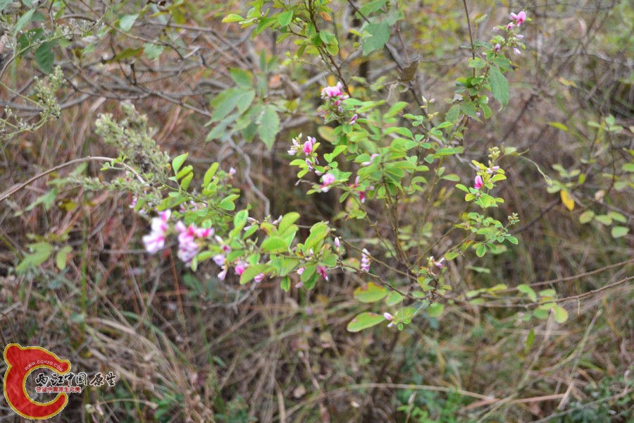 20121005-3762.JPG